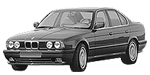 BMW E34 P209D Fault Code